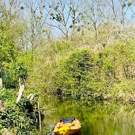 别墅 Havre De Paix Au Bord De L'eau Avec Piscine Magne (Deux-Sevres)