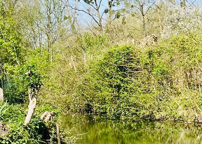 别墅 Havre De Paix Au Bord De L'eau Avec Piscine Magne (Deux-Sevres)